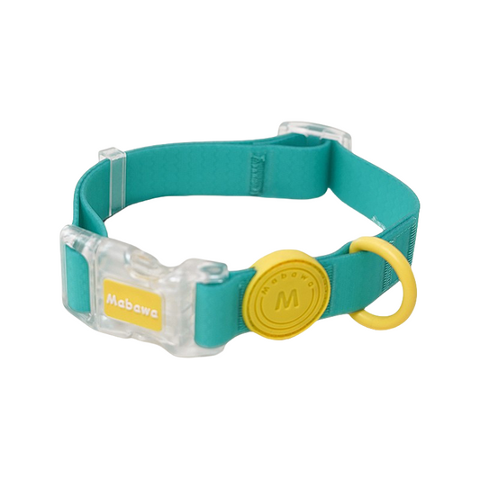 Colorful waterproof dog collar with leash
