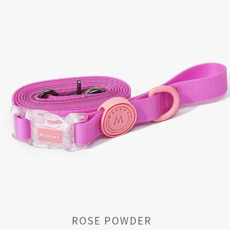 Colorful waterproof dog collar with leash