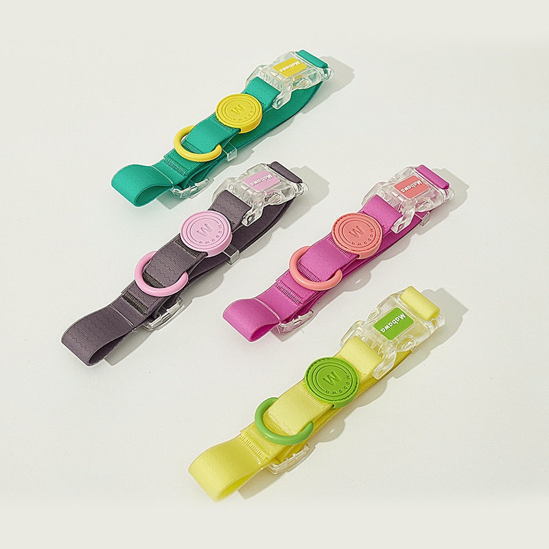 Colorful waterproof dog collar with leash