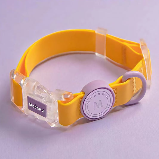 Macaron waterproof collar & leashes