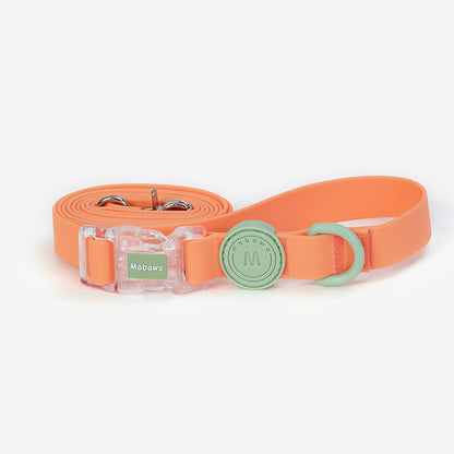 Macaron waterproof collar & leashes