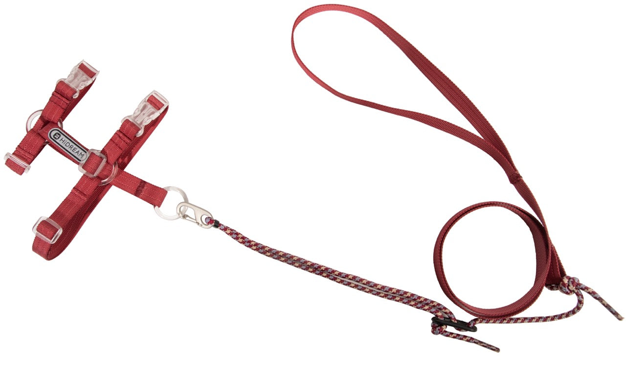 Bobo Series · Free Exploration Cat Chest and Back Leash Set