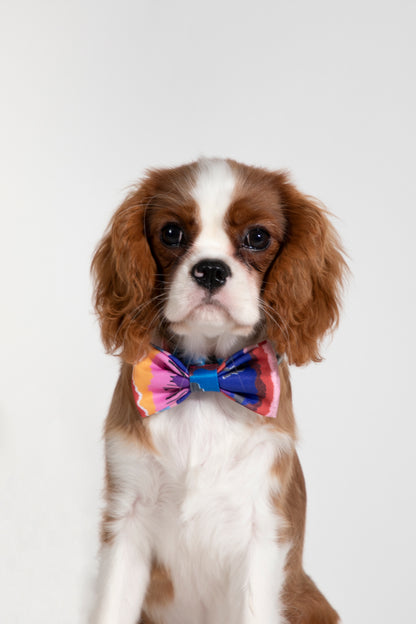 Stylish Soft Touch Pet Bow Tie for Dogs & Cats