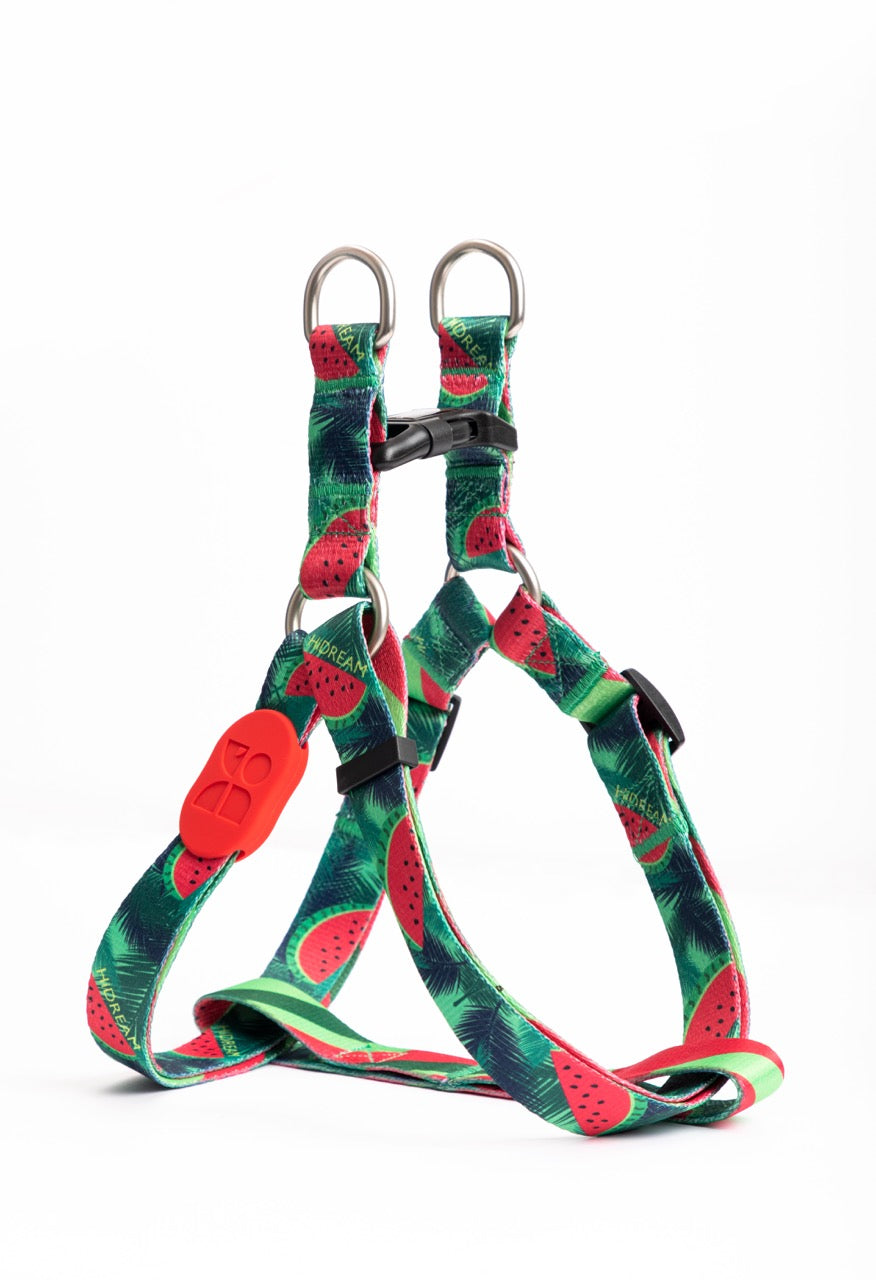 Totem Colorful Dog Harness Leashes
